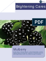 09. Brightening Mulberry