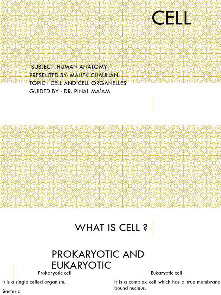 Basic of Human Cell Notes | PDF | Cell (Biology) | Ribosome