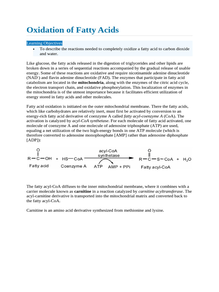 Beta Oxidation of Fatty Acids | PDF | Adenosine Triphosphate ...