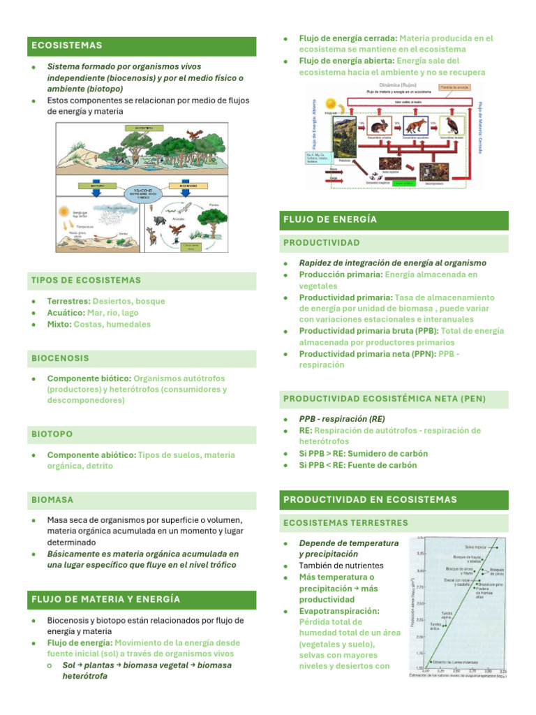 Ecología de Ecosistemas | PDF | Ecosistema | Producción primaria