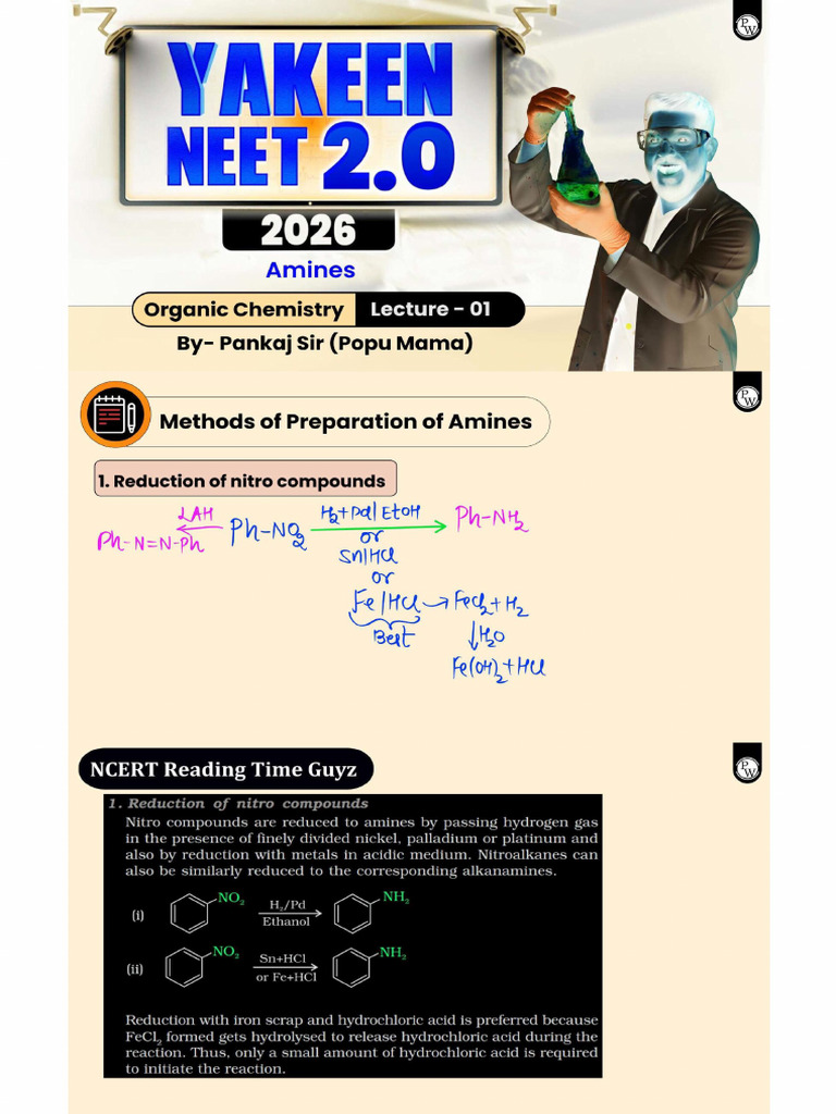 Amines Full | PDF