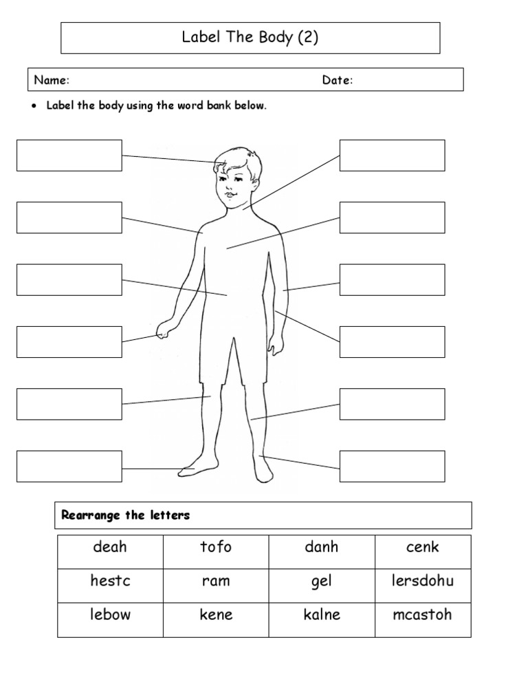Label the Body Parts Activity | PDF