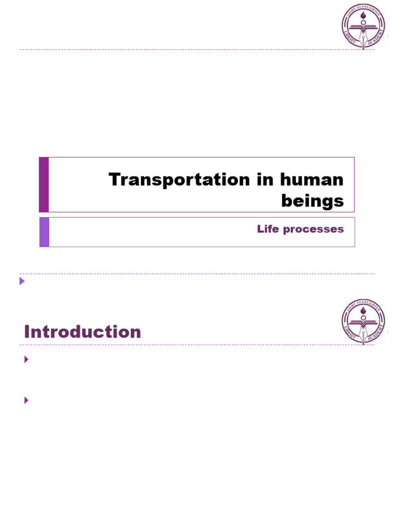 CH 6 Life Process Transport in Animals | PDF | Circulatory System | Lymph
