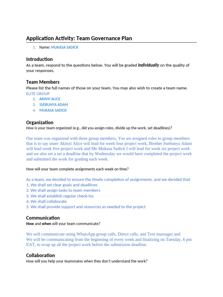 Pc102 w04 Document Applicationactivity Teamgovernanceplantemplate | PDF