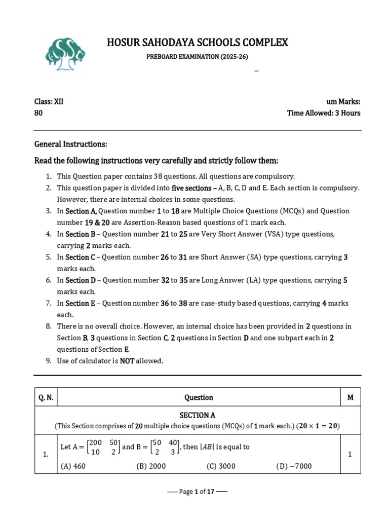 Class XII - Maths Set 1 MS | PDF | Multiple Choice | Mathematical Objects