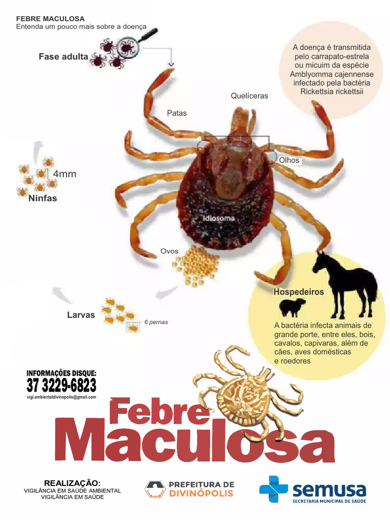 07 - Febre Maculosa | PDF | Doenças e distúrbios | Especialidades médicas