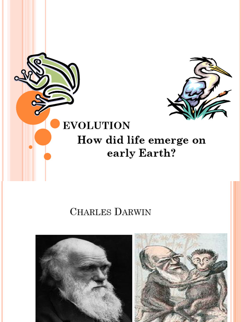 Darwin Evolutionch25 | PDF | Homo | Natural Selection
