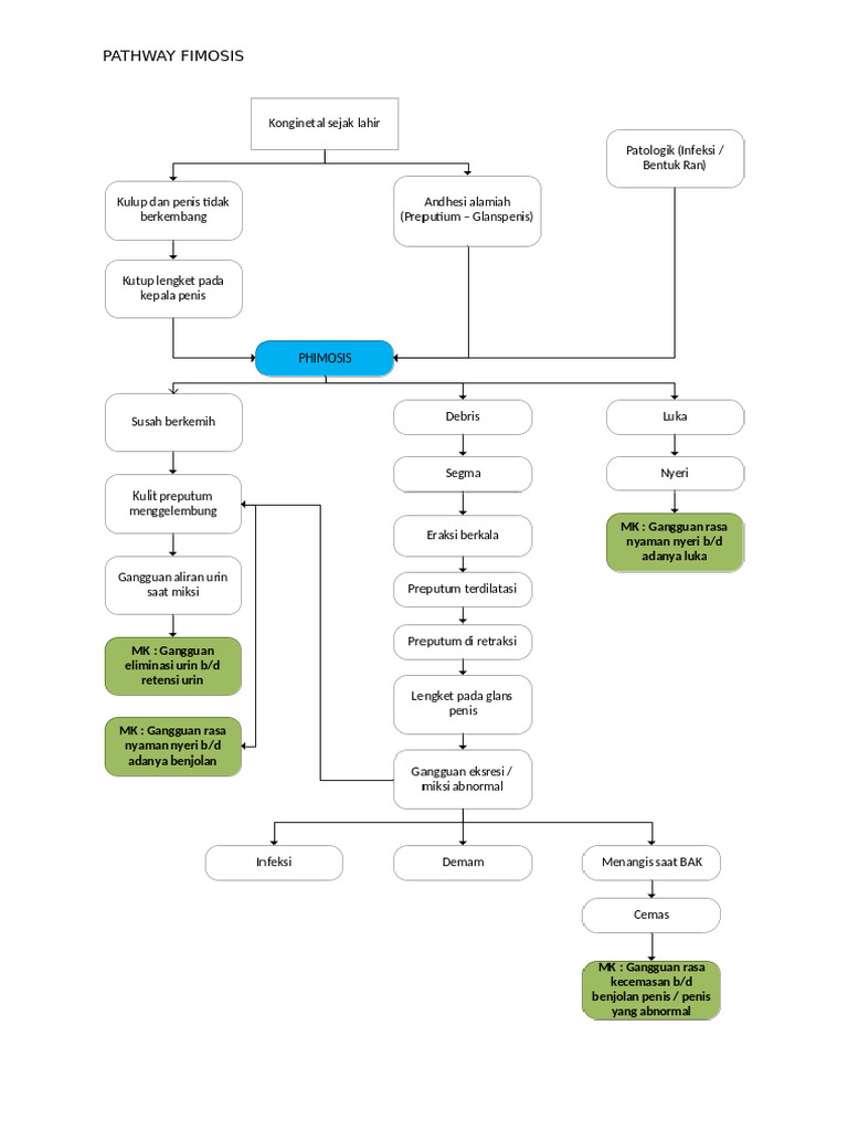 Pathway | PDF