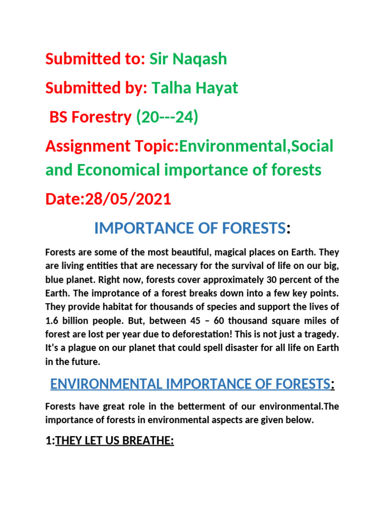 Importance of Forests - Talha Hayat | PDF | Forests | Trees