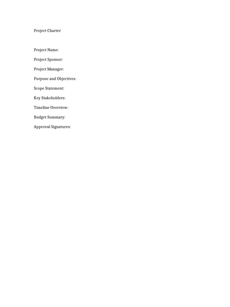 Project Charter | PDF