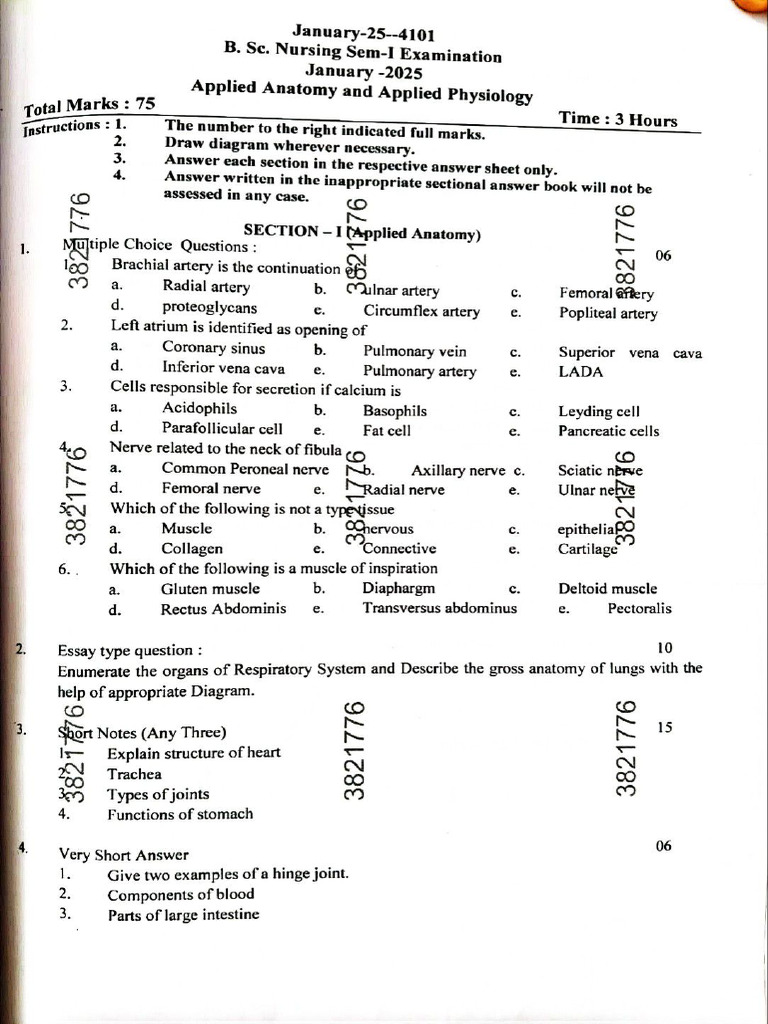 Anatomy Physiology Paper-1 | PDF