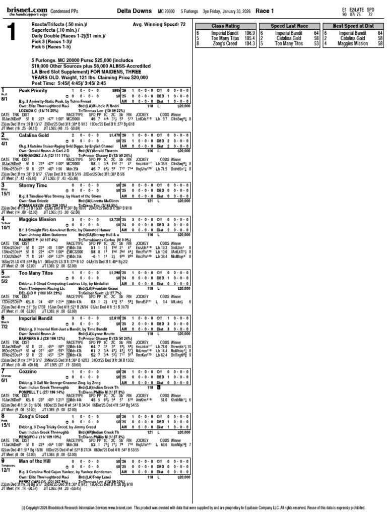 Ded 0130 J | PDF | Animal Racing | Horse Racing