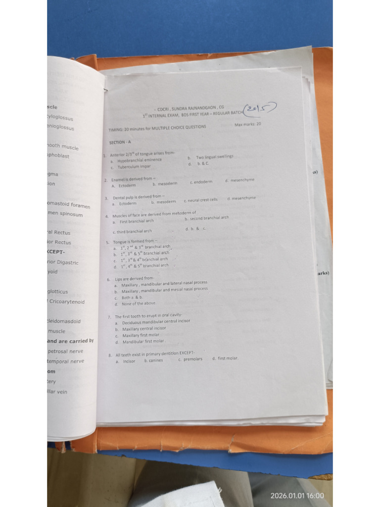 DADH | PDF