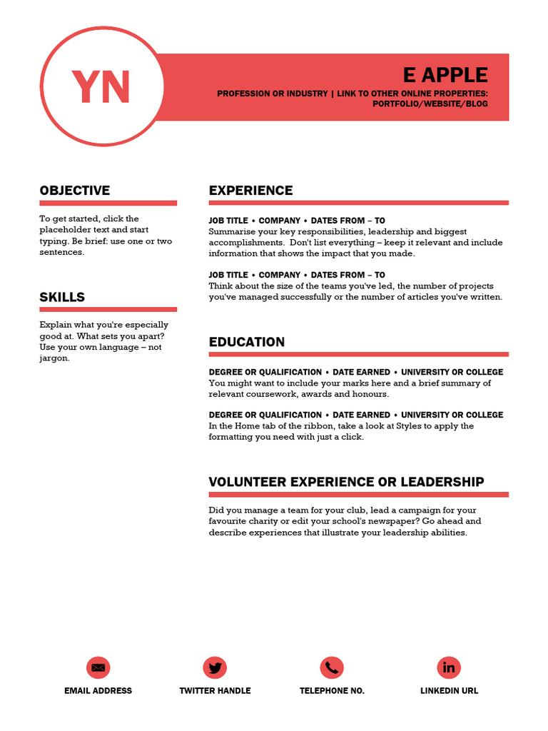 E Apple: Objective Experience | PDF
