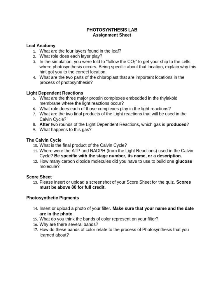 Photosynthesis Assignment Sheet | PDF