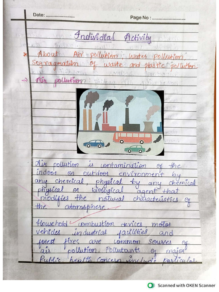Environmental Project(Pollution) | PDF