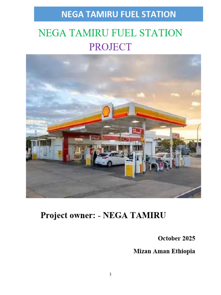 Nega Tamiru Fs | PDF | Demand | Liquefied Petroleum Gas