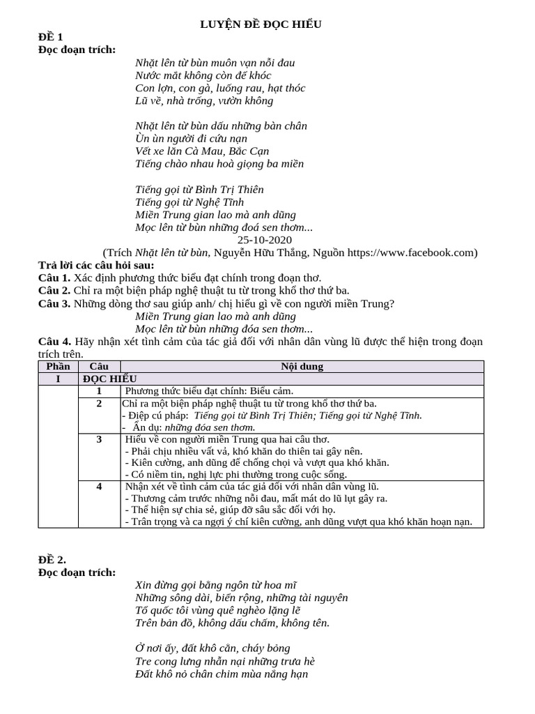 Luyện Đề Đọc Hiểu Qchi | PDF