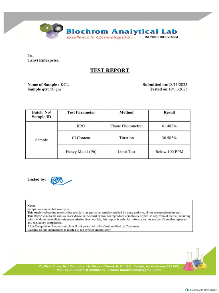19.11.2025 KCL Report | PDF