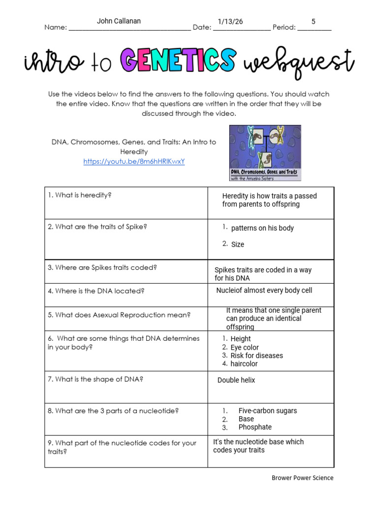 Intro To Genetics WebQuest Worksheet | PDF | Genotype | Dominance ...