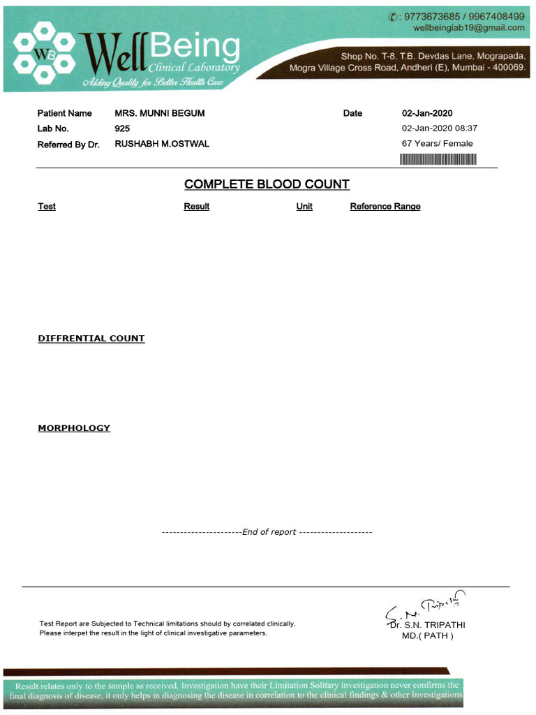 Header Sample 1 | PDF | White Blood Cell | Tissue (Biology)