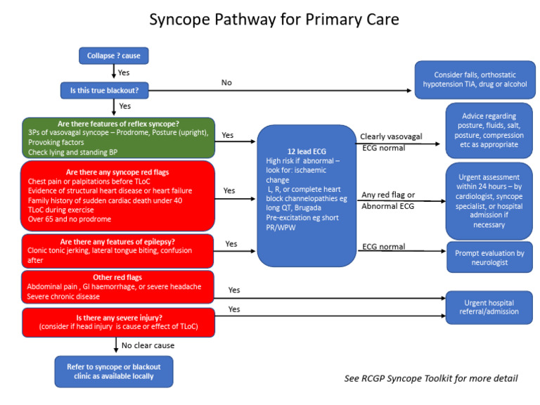 Syncope Pathway Primary Care | PDF | Cardiology | Clinical Medicine