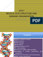 Unit I Neuclic Acid Structure and Genome Organization: Gayatri Dave