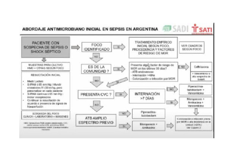 Abordaje Sepsis | PDF