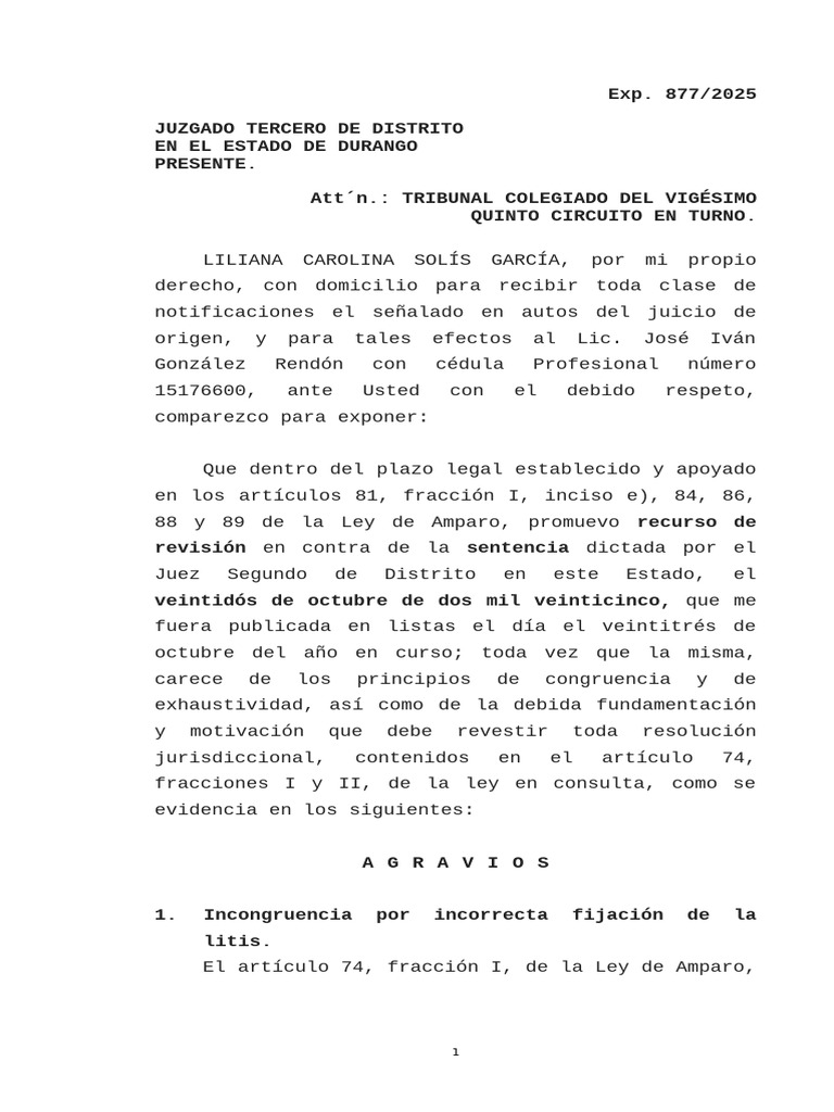 Amparo en Revisión | PDF | Sentencia (ley) | Justicia