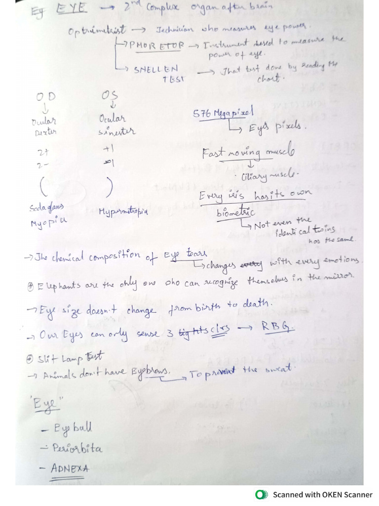Eye Notes | PDF