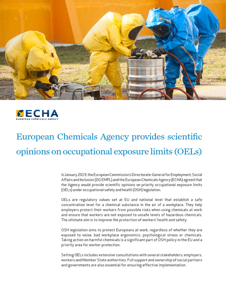 Oel Leaflet en | PDF | Occupational Safety And Health | Workplace