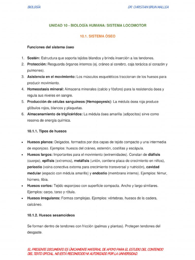 Resumen U10 | PDF