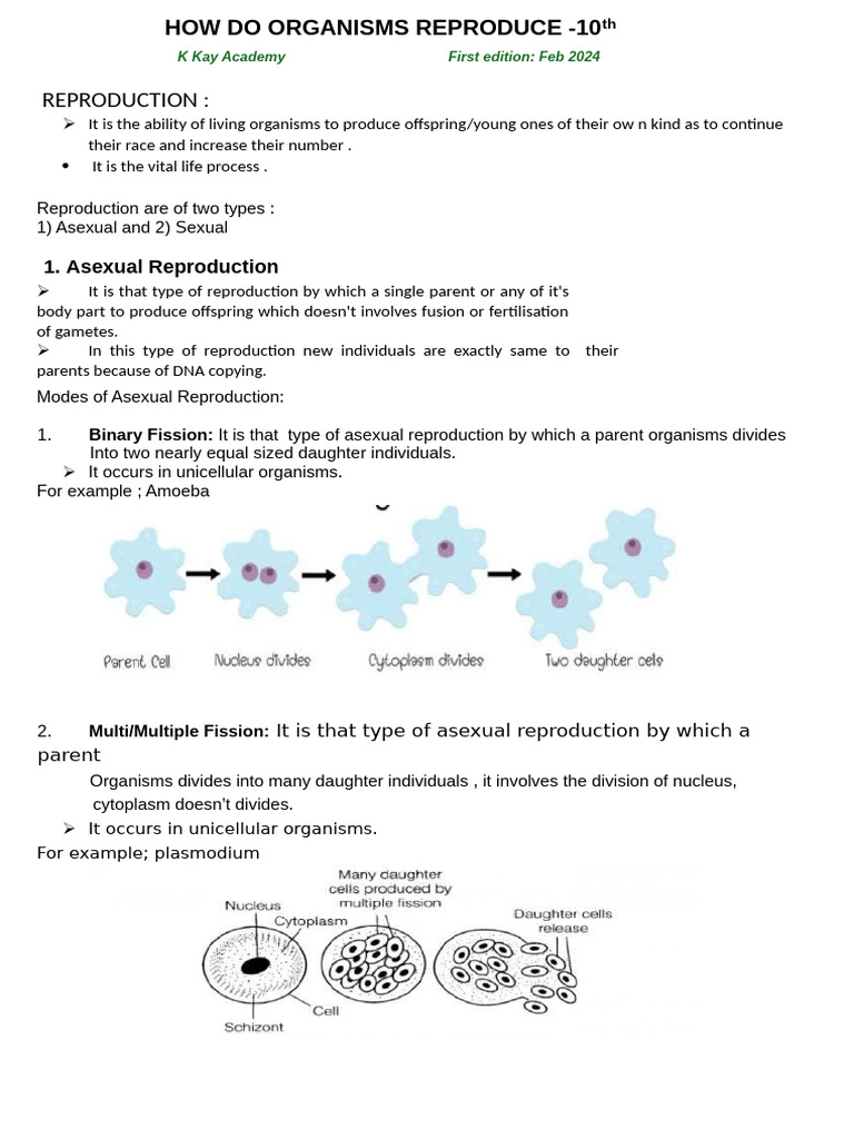 How Do Organisms Reproduce. | PDF | Menstrual Cycle | Reproductive System