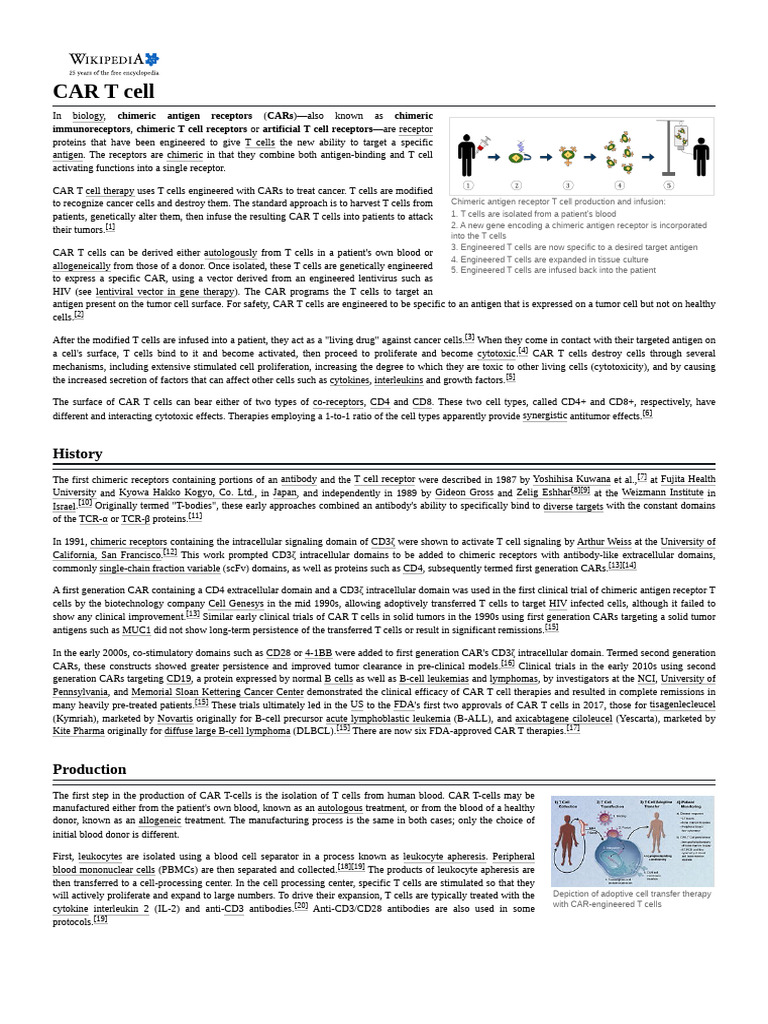 CAR T Cell | PDF | T Cell | Antigen
