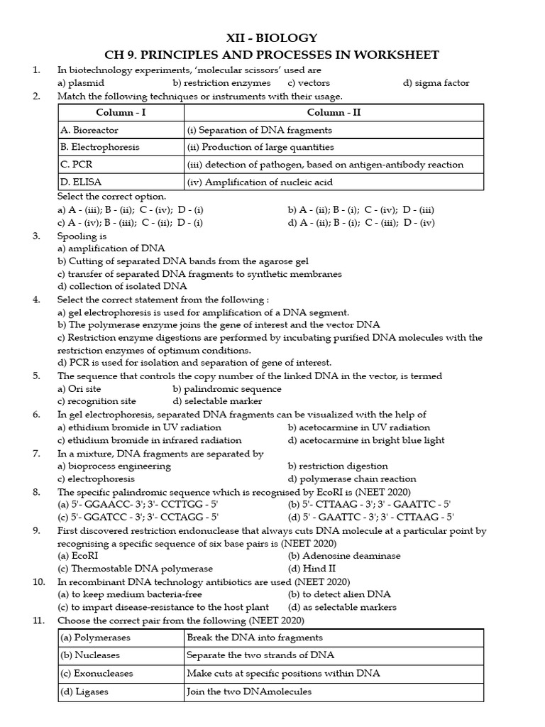 XII - BIOLOGY - Principles & Processes in Biotechnology Worksheet | PDF ...