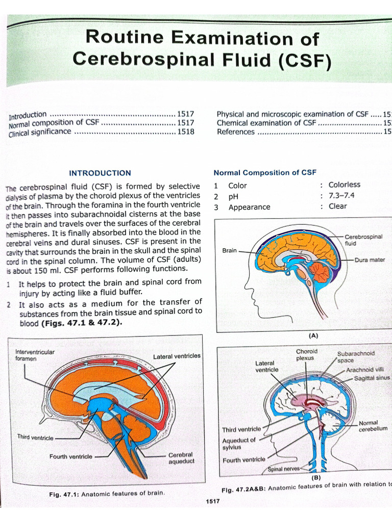 CSF | PDF