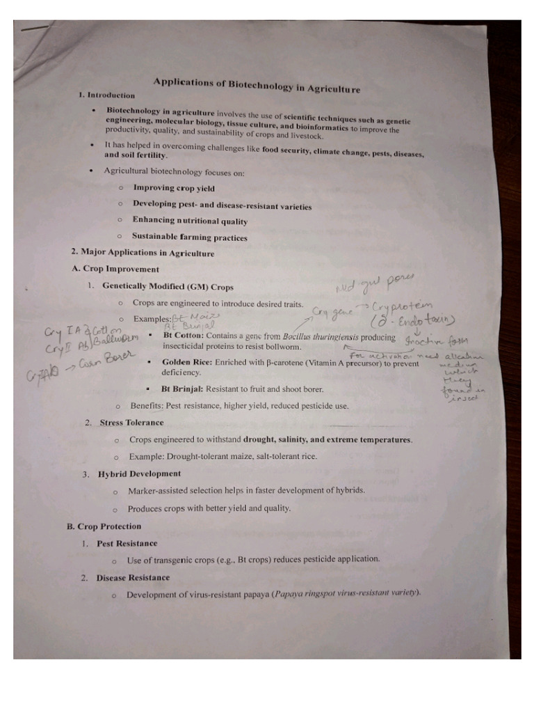 Unit 4 Application | PDF