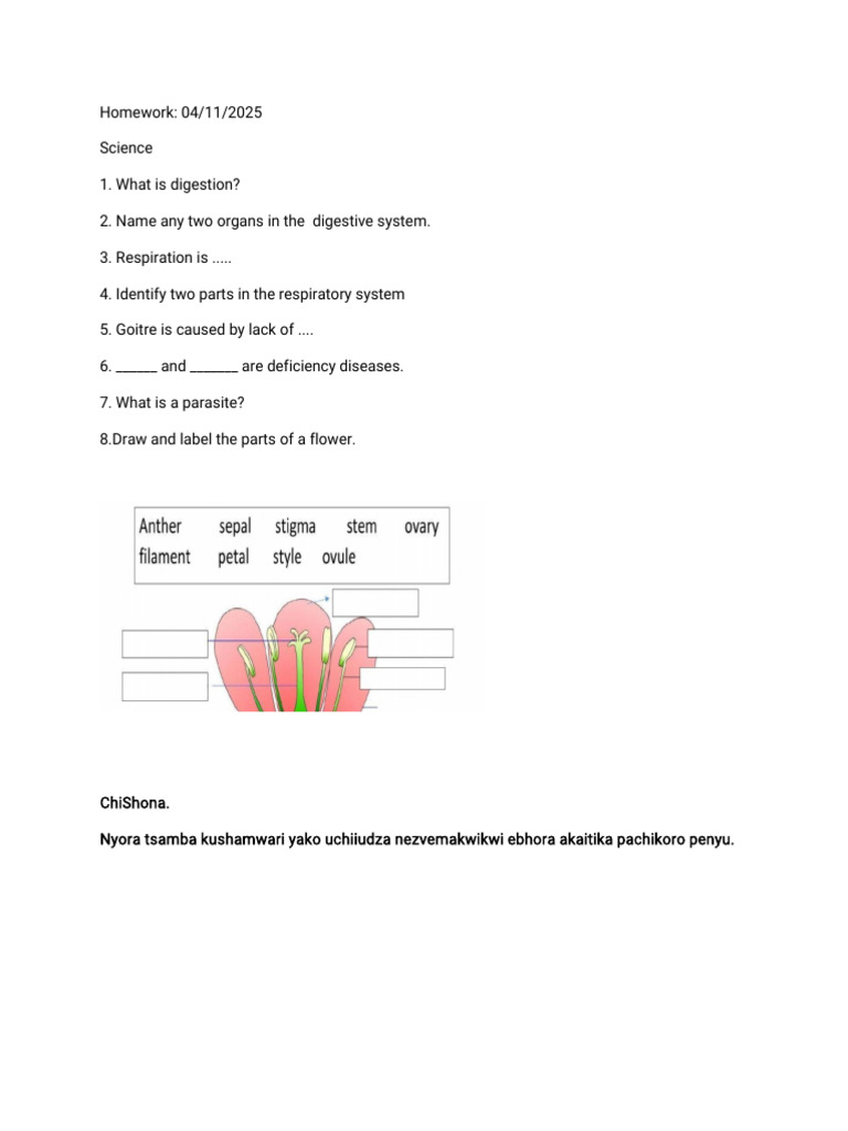 Homework 04 11-WPS Office | PDF