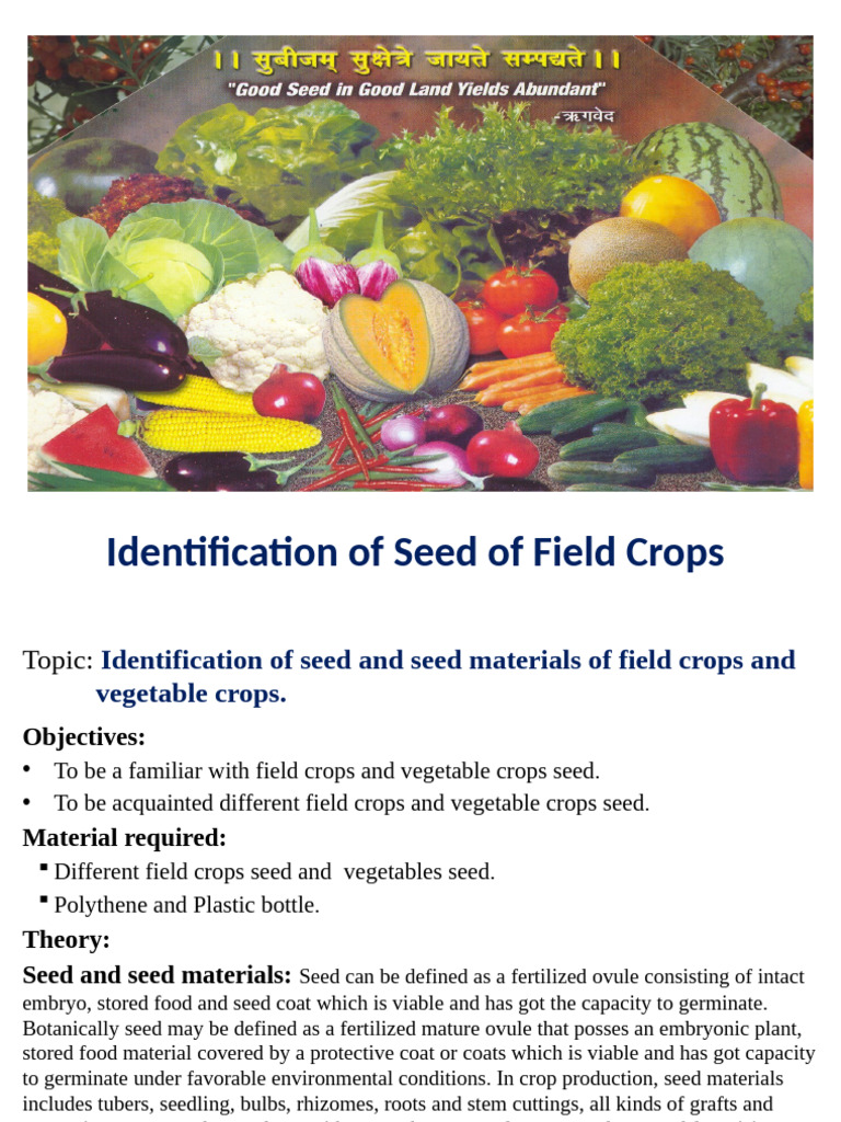 Unit 2 Cereal & Vegetable Seed Identification Seeds | PDF | Seed | Crops