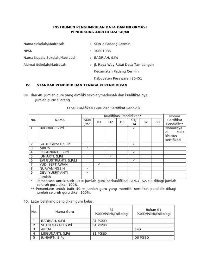 IPDIP SDMI 4. Standar Pendidik Dan Tenaga Kependidikan | PDF