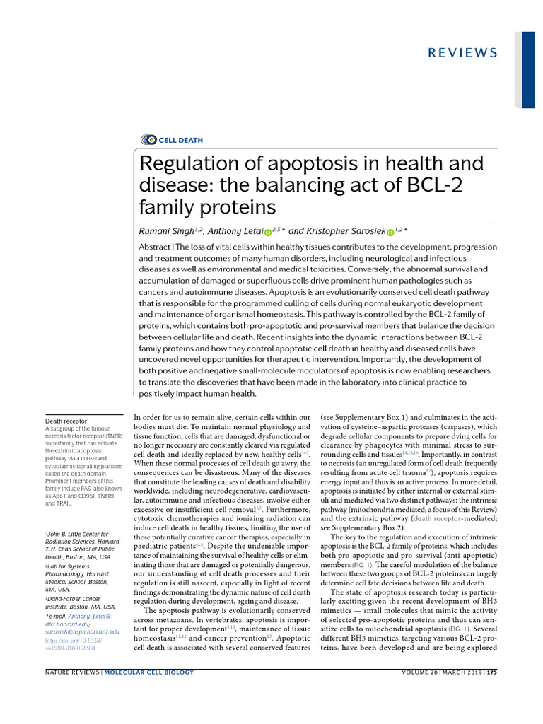 Article 3 - Apoptosis | PDF | Apoptosis | Bcl 2