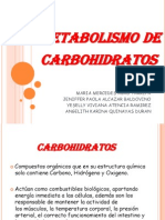 Metabolismo de Carbohidratos