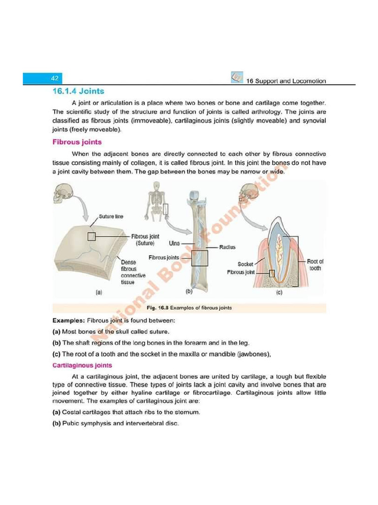 Biology 12 Federal Joints | PDF