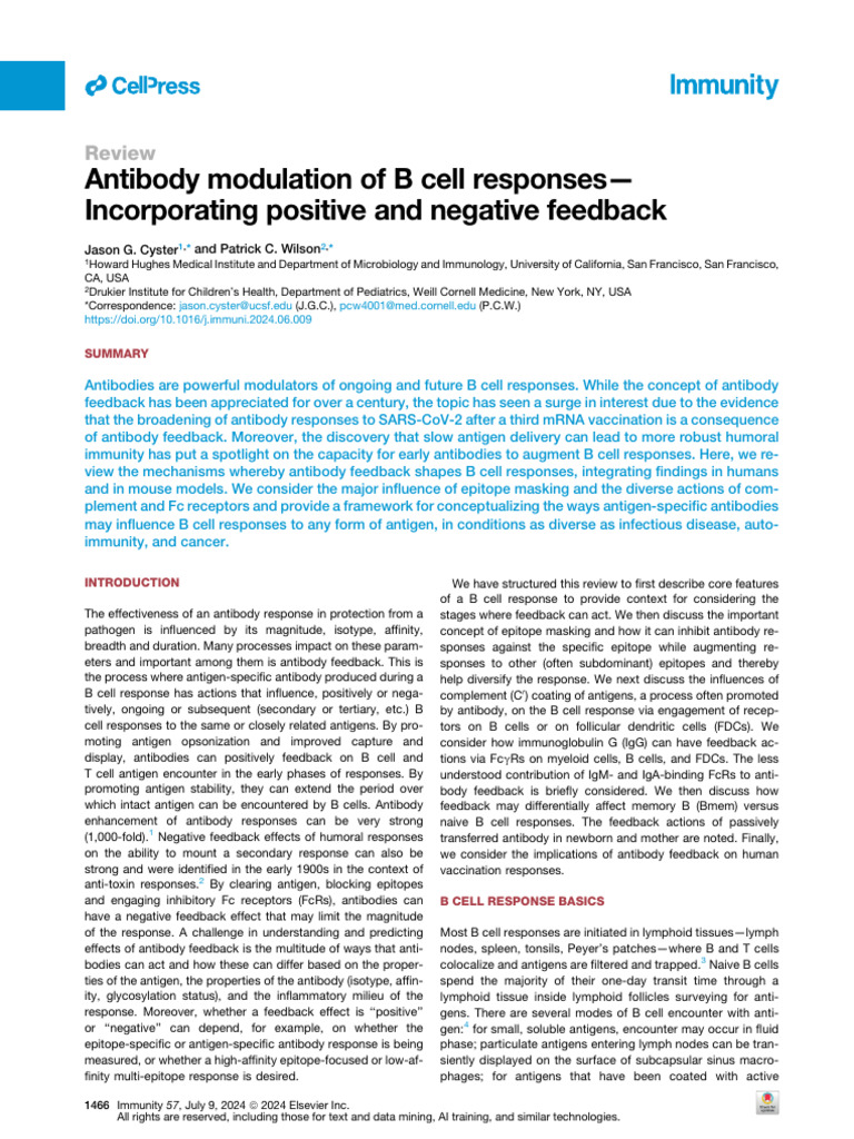 Antibody Modulaton of B Cell Response | PDF | Antibody | B Cell