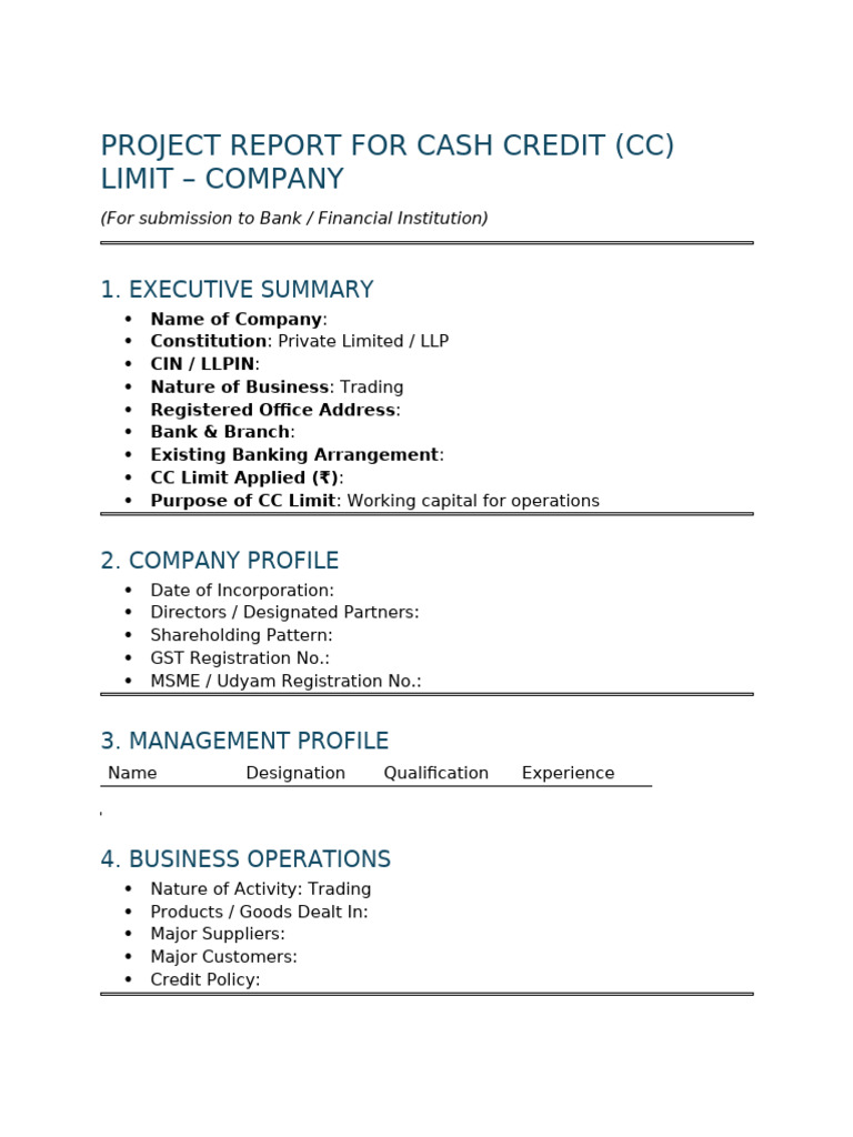 CC Project Report - Company (PVT LTD - LLP) | PDF