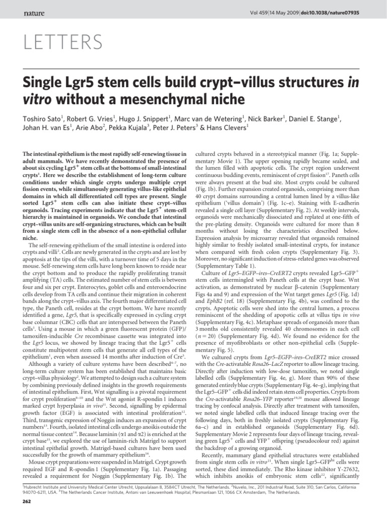 Single Lgr5 Stem Cells Build Crypt-Villus Structures Clevers 2009 | PDF ...