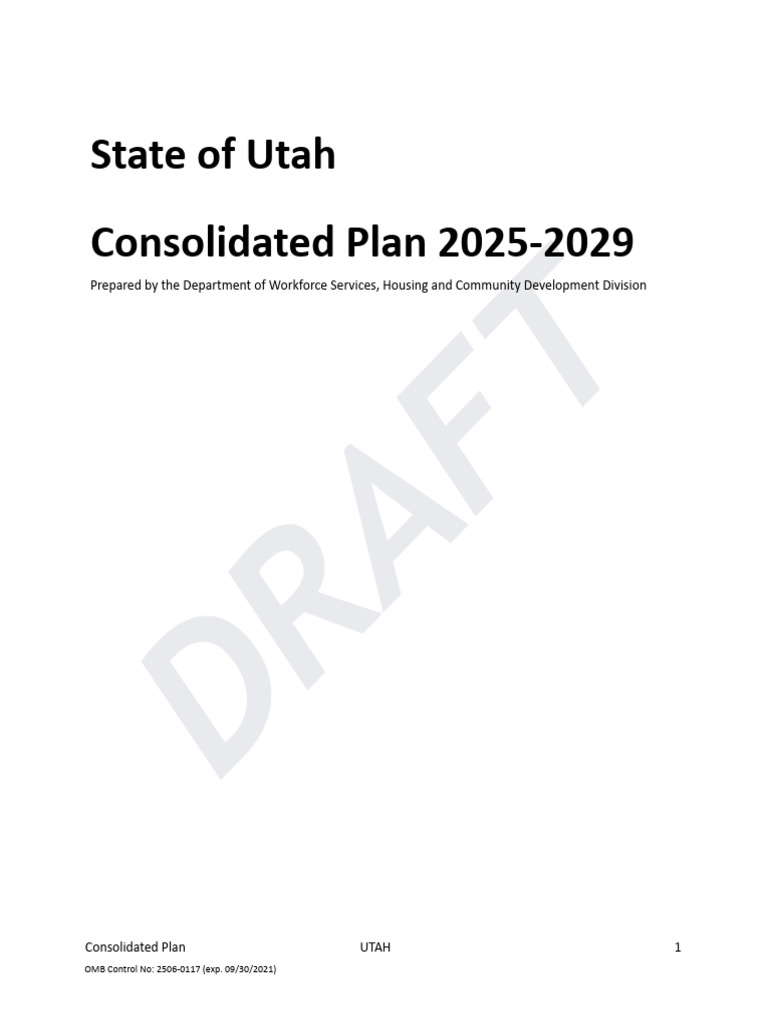 Con Solid Plan Draft | PDF | Community Development Block Grant