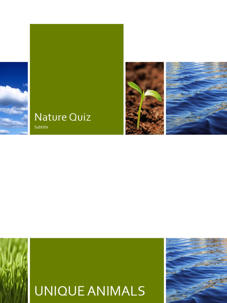 Environment Quiz-Rare Animals | PDF | Antelope | Zoology