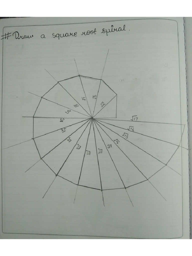 Class 9th Activity 1 | PDF