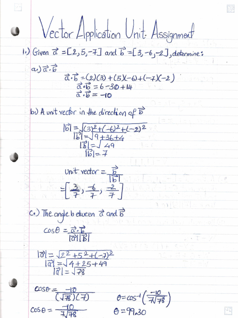 Vector Application Unit Assignment | PDF